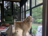 505A31C4-0558-48F2-B0EC-585573EE0409.jpeg 505A31C4-0558-48F2-B0EC-585573EE0409.jpeg