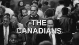 1638047278166.gif