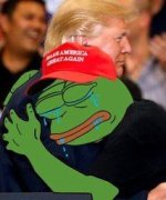 0713082B-FD99-4AA1-9675-B365E39DF0D5.jpeg 0713082B-FD99-4AA1-9675-B365E39DF0D5.jpeg