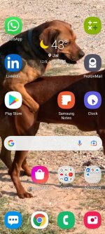 SmartSelect_20211208-042921_One UI Home.jpg