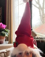 2B688201-2286-4A4E-A56C-E111BD3DAA58.jpeg 2B688201-2286-4A4E-A56C-E111BD3DAA58.jpeg