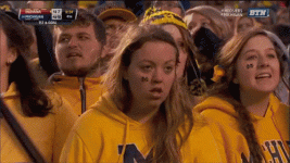 michigan-fan.gif