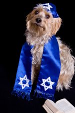 bark-mitzvah.jpg bark-mitzvah.jpg