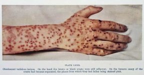 A11E32EC-903C-45A6-A6FF-9686E00CCD87.jpeg A11E32EC-903C-45A6-A6FF-9686E00CCD87.jpeg