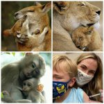 624D2BE2-830A-4757-A7CC-E994F57221F1.jpeg 624D2BE2-830A-4757-A7CC-E994F57221F1.jpeg