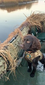 Ashe - Combahee.jpeg