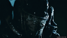 1613311208360.gif