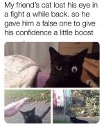 1613604103790.jpeg