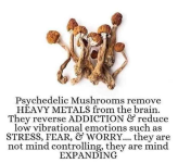 1642353557973.png 1642353557973.png