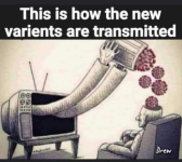 1642429201269.png 1642429201269.png