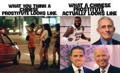 1642715778971.png 1642715778971.png