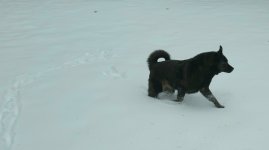 20220116_094256.jpg 20220116_094256.jpg