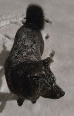 20220116_063121.jpg 20220116_063121.jpg