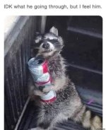 1643144372351.jpeg 1643144372351.jpeg