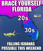 1643299060292.png 1643299060292.png