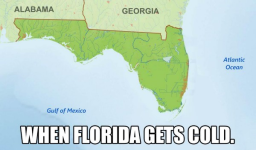 1643299583063.png