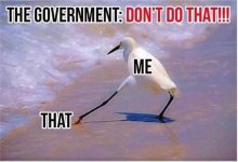 C62F2D32-3A87-42EB-8567-43F0E9D51D97.jpeg