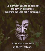 1643484870336.png