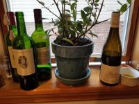 20220130_144033.jpg 20220130_144033.jpg