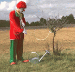 E479F223-D992-42F8-9482-C6A56B180C40.gif