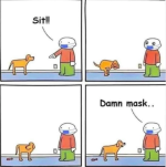 1643599431146.png