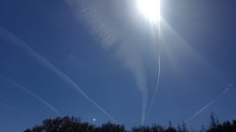 20220203_123113.jpg