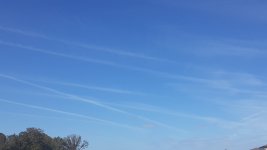 20220203_123123.jpg