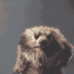 1643912598545.gif