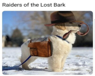 1644288274146.png
