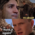 1644291120553.png