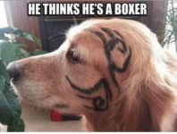 1644294318452.png