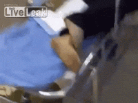1644352513667.gif
