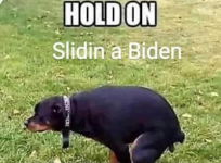 1644357379016.png