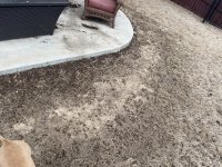 FF5B2E9C-B714-4813-AD00-52B84D0DD71A.jpeg FF5B2E9C-B714-4813-AD00-52B84D0DD71A.jpeg