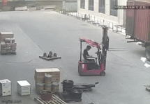 Forked.gif
