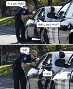 are-you-high-hello-am-i-what-meme.jpg