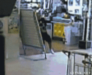 on the run.gif