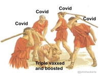 1647282926152.png
