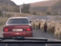 84C3A26C-C5B1-4D96-B765-7BE879F72324.gif