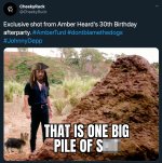 amber_turd_meme_1.jpg